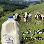 ألبان و مشتقاتها