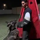 مدرب كلاب محترف
