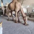 مجسمات الابل للبيع