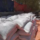 علف فقيه لاحم ناهي