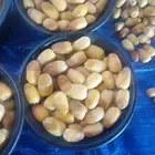 رطب خلاص للبيع