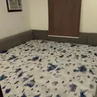 شقق مفروشه