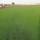 ثيل سي 2000صافي وطبيعي الموقع الخرج