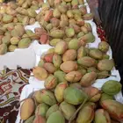 لوز اللوز قطيفي
