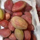 اللوز القطيفي بانواعه