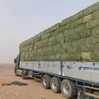برسيم