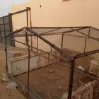 شبك دجاج للبيع