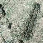 برسيم صافي