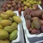 لوز جامبو رخيص