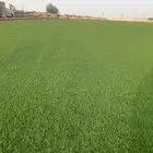 ثيل سي 2000صافي وطبيعي الموقع الخرج