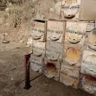 30 خلية محايلي مستعملة للبيع
