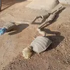 كت وكالة دودج تشارجر SRT 2013