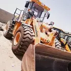 شيول صيني البيع