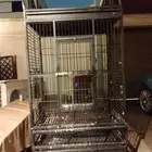 للبيع قفص كبير للمكاو او لي انتاج الكاسكو