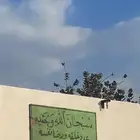 دباب عجيب