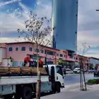 دينا ونش مشاوير الابل داخل تبوك وخارجها