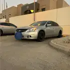 التيما 2010
