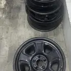 جنوط دوج