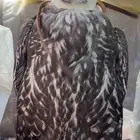 جير بيور