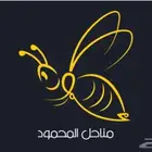 تصميم شعارات سيره ذاتيه
