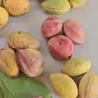 لوز قطيفي الاصلي