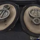 كنود