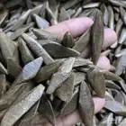 عود كمبودي