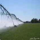 رشاشات للايجار
