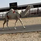 للبيع عشرا كفر