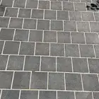 مبلط