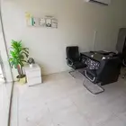 المكتب لتقبيل