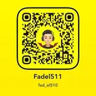 فندقه قطط VLP