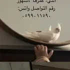 كروان البينو عيون حمراء