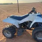 الدباب للبيع رماح