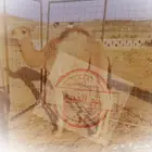 تم البيع. (حاشي لباني)