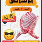 ربع تيس ب249