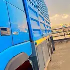 لوري دينا كبير مسقس