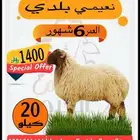 نعيمي بلدي 1400