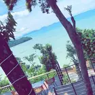 مطلوب شاليه سنوي شمال بريده