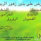 عندك ارض وتبي تزرعها بذور ربيعيه وبسعر مميز .. تفضل