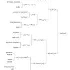 السلام عليكم حصان عربي بوارق سليم شرط وحصان كفو