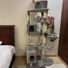 بيت بساس