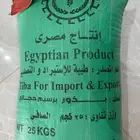 بذور برسيم حجازي مصري