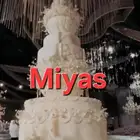 مجسمات فلين حفلات