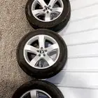 جنوط للبيع