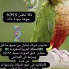 مطلوب شركاء تحليل