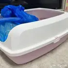 لتربوكس