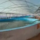 فني فك وتركيب