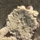 بطحى الرياض بطحى الشرطة0536048958