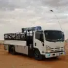 دينا ونش لي نقل الابل والبضائع والمكاين